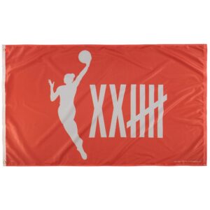 WinCraft WNBA 25th Anniversary 3' x 5' One-Sided Flag